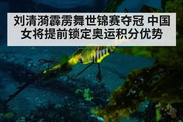 刘清漪霹雳舞世锦赛夺冠 中国女将提前锁定奥运积分优势
